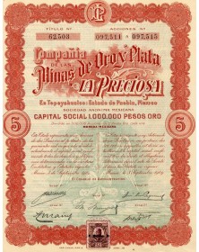Compania de las Minas de Oro y Plata ''La Preciosa''. 1909