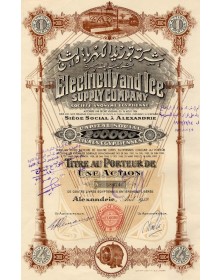 Electricity and Ice Supply Company
