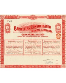 Capillitas Consolidated Mines, Ltd. 1909