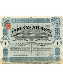 The Lagunas Nitrate Co. Ltd