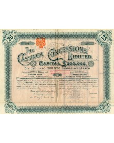 The Cassinga Concessions Ltd.