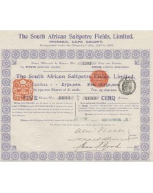 The South African Saltpetre Fields, Ltd.
