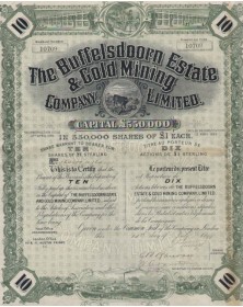 The Buffelsdoorn Estate & Gold Mining Company,Ltd