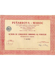Peñarroya-Maroc S.A. Marocaine
