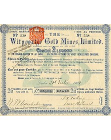 The Witpoortje Gold Mines Ltd.