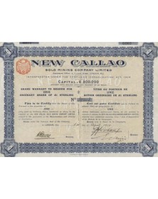 New Callao Gold Mining Company, Ltd. 1914
