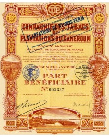 Compagnie des Tabacs et Plantations du Cameroun (Plantations de Nyobe-Penja)
