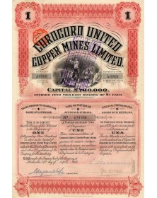 Corocoro United Copper Mines Ltd. 1910