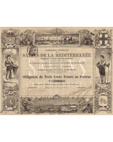 Compagnie Générale des Salins de la Méditerranée (Salins du Cavaou, Bouches-du-Rhône)