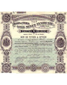 The English and French Gold Mines Syndicate Ltd