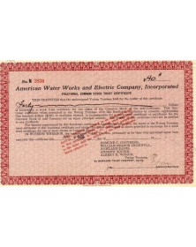 American Water Works and Electric Co., Inc.