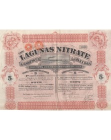 The Lagunas Nitrate Co. Ltd