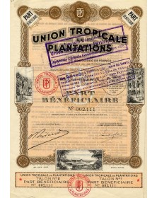 Union Tropicale de Plantations