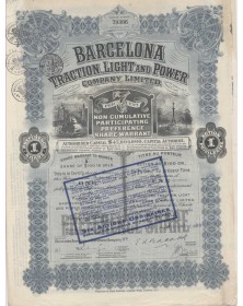 Barcelona Traction, Light & Power Company Ltd. (1928)
