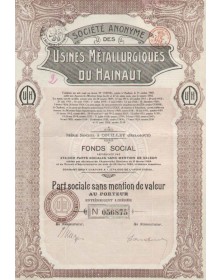 S.A. des Usines Métallurgiques du Hainaut