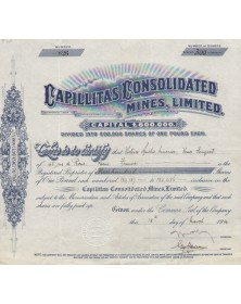 Capillitas Consolidated Mines, Ltd. 1914