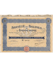 Société des Salines de...