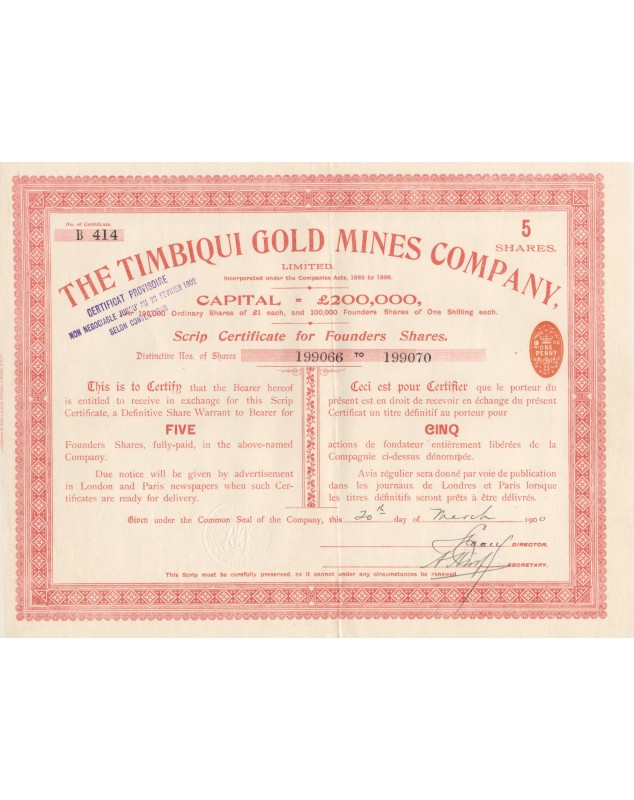 The Timbiqui Gold Mines Company