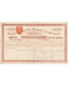 Medina Gold Mines Limited