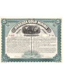 Rebecca Gold Mining Company of Colorado