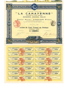 Société Anonyme "La Camayenne", Plantations en Guinée Française, Bananes, Ananas, Kolas