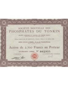 Sté Nouvelle des Phosphates du Tonkin