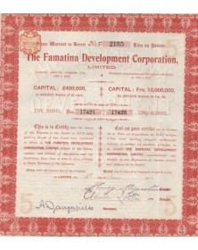 The Famatina Development Corporation