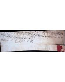 Parchemin Louis de Bourbon-Roussillon