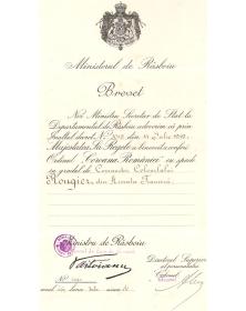 Brevet de commandant colonel 1919 - Roumanie - Arthur Văitoianu