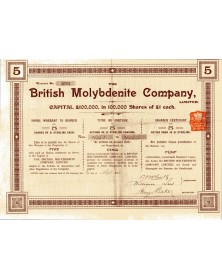 The British Molybdenite Co.