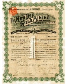 The New Rip Gold Mining Co. Ltd