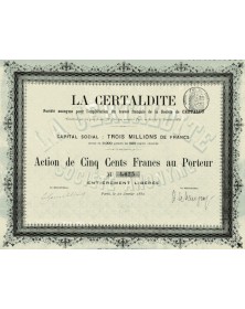 La Certaldite - SA pour l'Exploitation du brevet français de la Sté de Certaldo