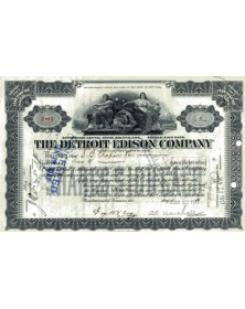 The Detroit Edison Co.