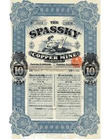 The Spassky Copper Mine Ltd.