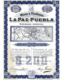 Minas y Fundicion La Paz-Puebla S.A.