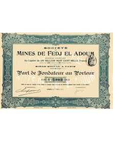 Sté des Mines de Fedj El Adoum