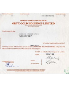 Oryx Gold Holdings Company, Ltd.