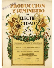 Produccion y Suminstro de Electricidad S.A.