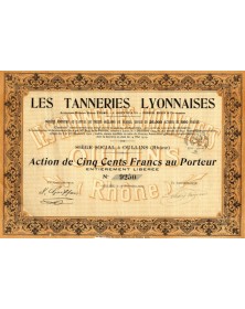 Les Tanneries Lyonnaises (Anciennes Maisons Ullmo, Goiffon & Perrin, Ricot)