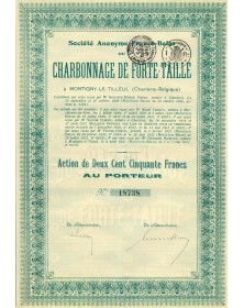 Sté Franco-Belge du Charbonnage de Forge-Taille