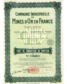 Cie Industrielle des Mines d'Or en France (Ciminor)